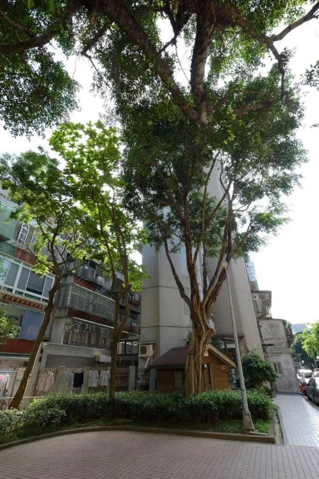 Image 5 of BV Taipei XinYi D