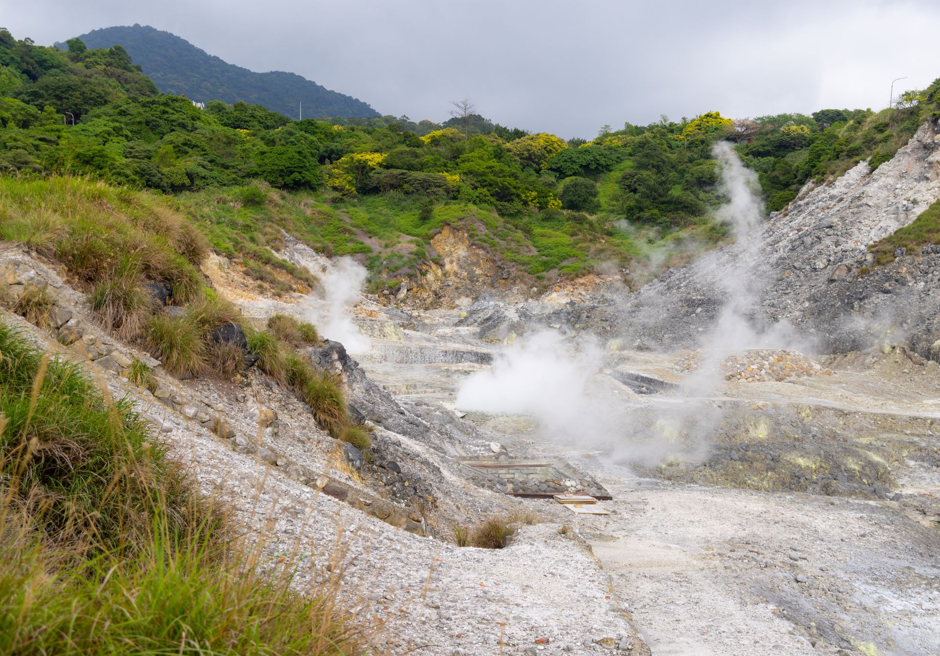 Yangmingshan National Park